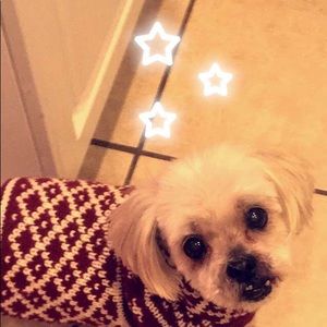 Meet your Posher, Tyler